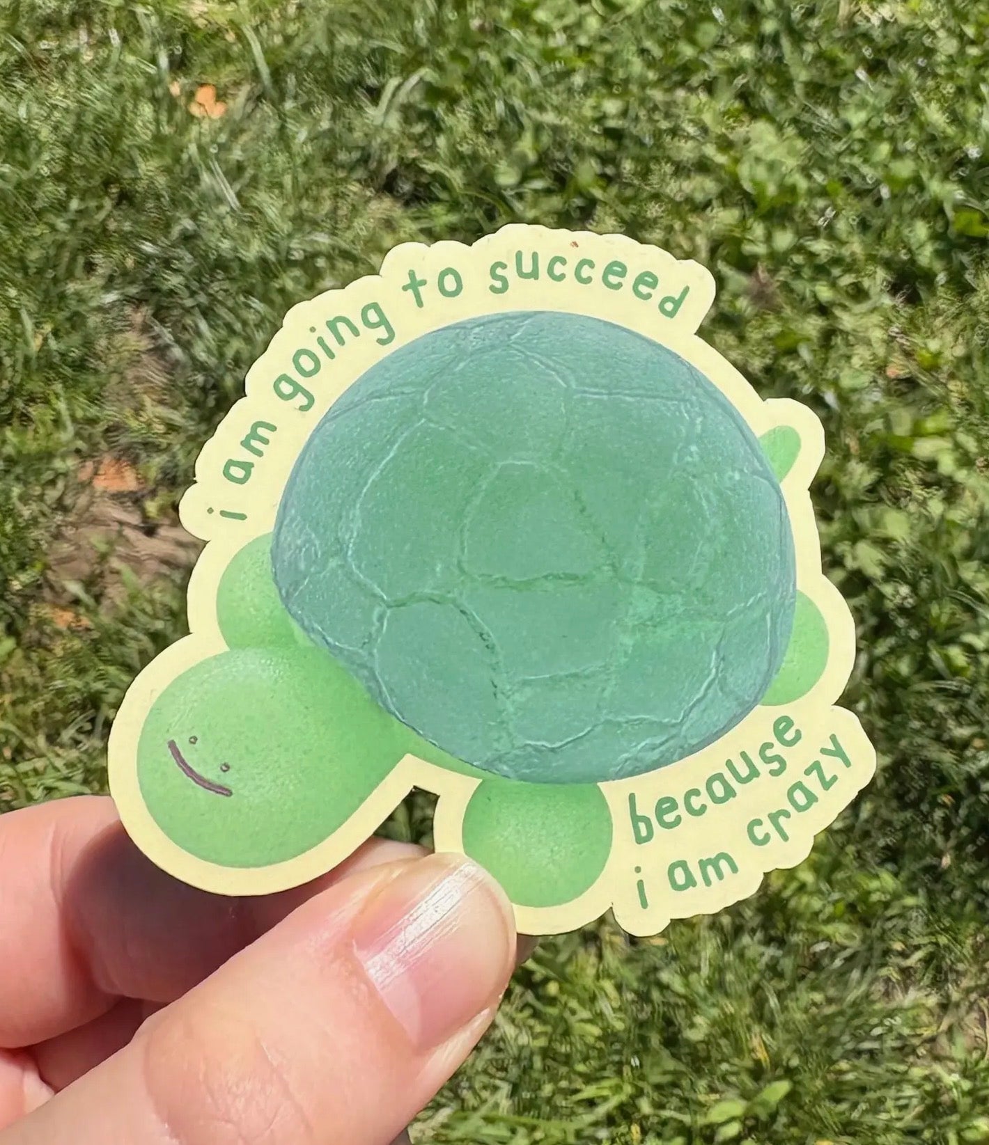 Megoogs Draws • “I’m Going to Succeed” Turtle Sticker