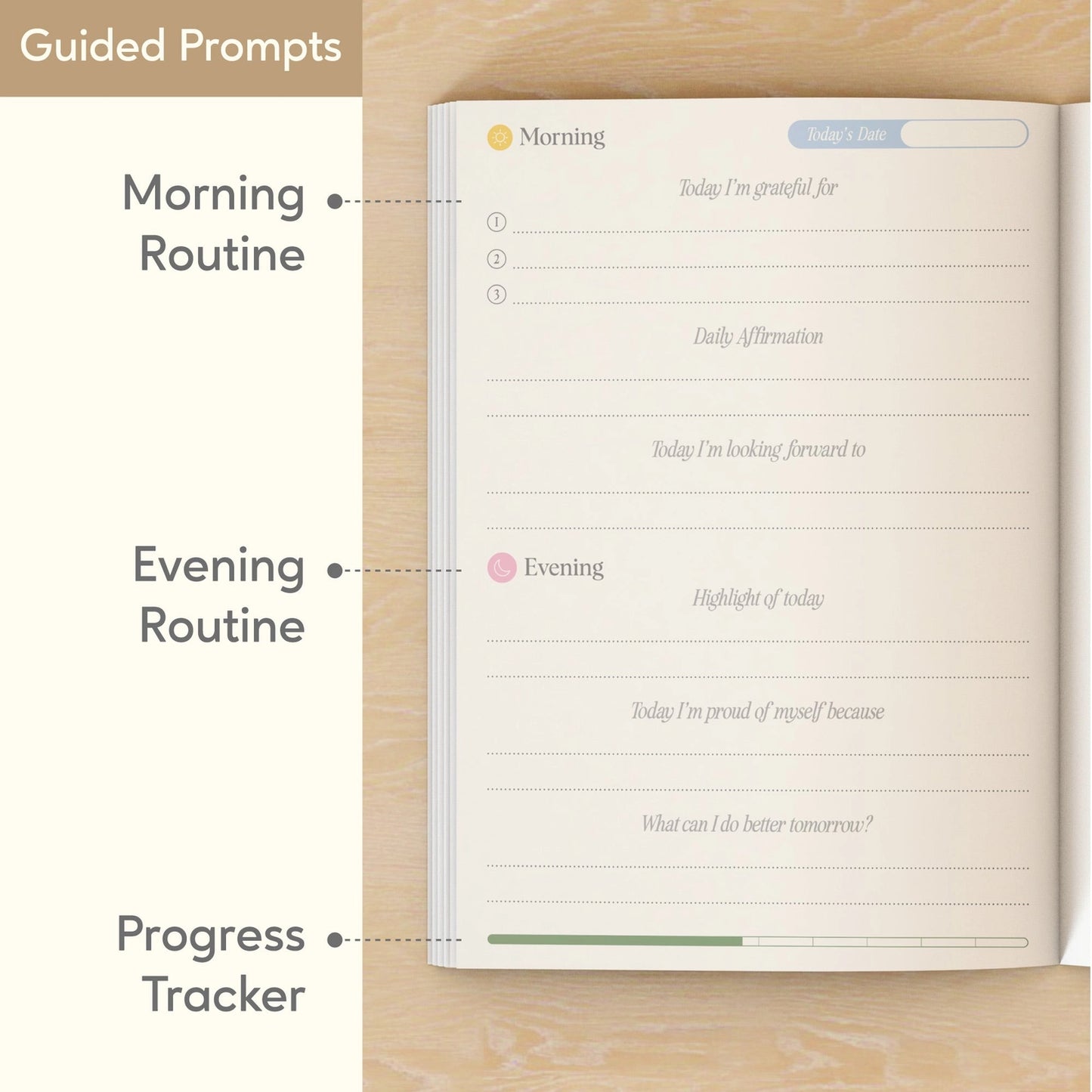 NotCoy • Gratitude Journal, Tulip Town