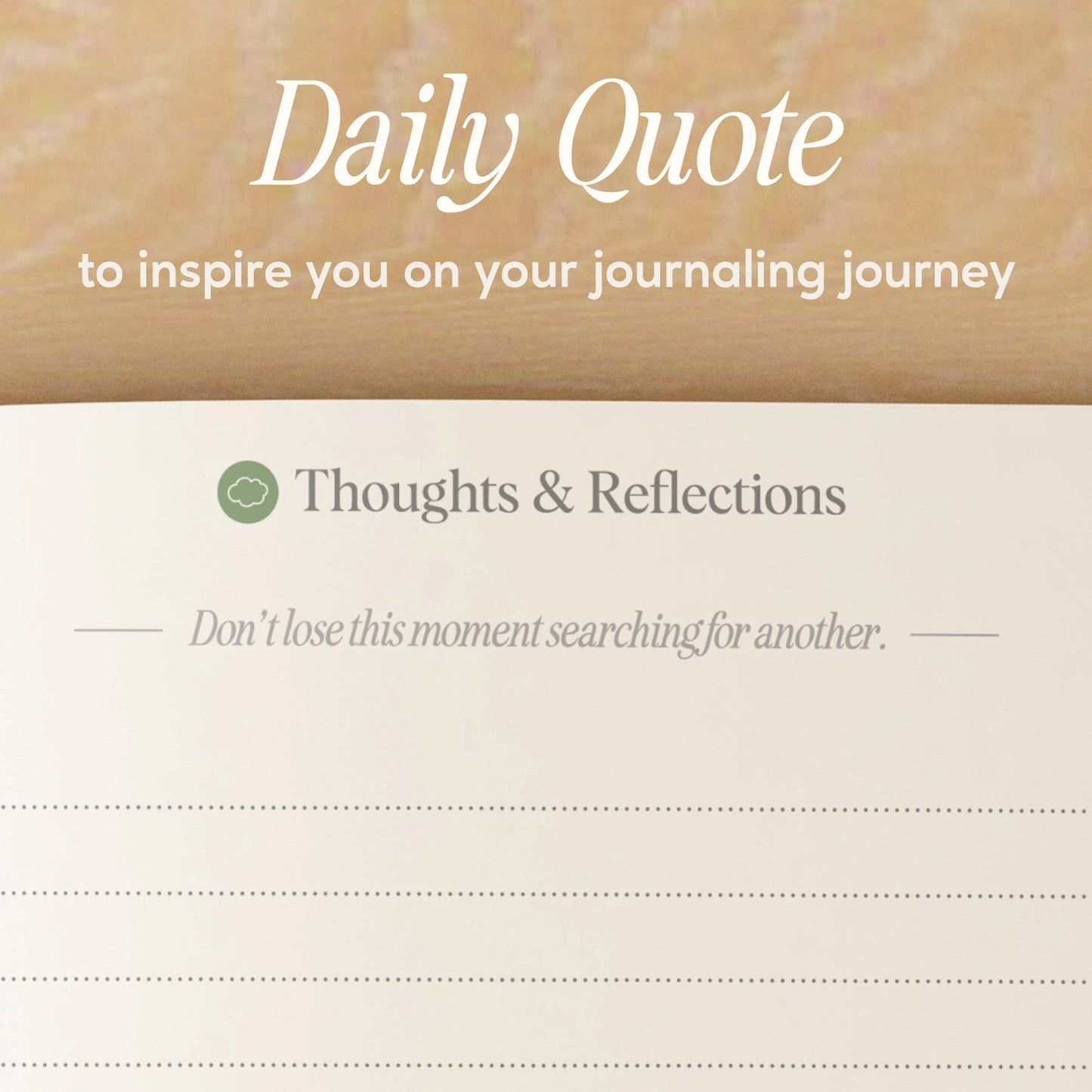 NotCoy • Gratitude Journal, Tulip Town