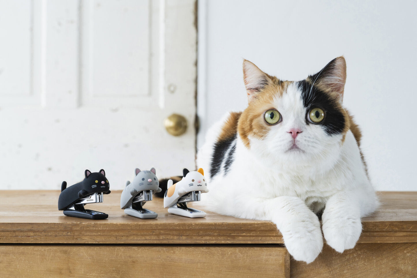 Kitty Mini Staplers + Mini Staples, Imported Japan