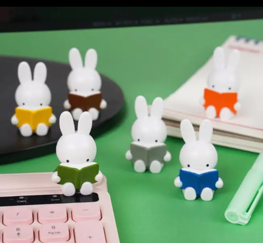 Miffy • Reading Mini Blind Box