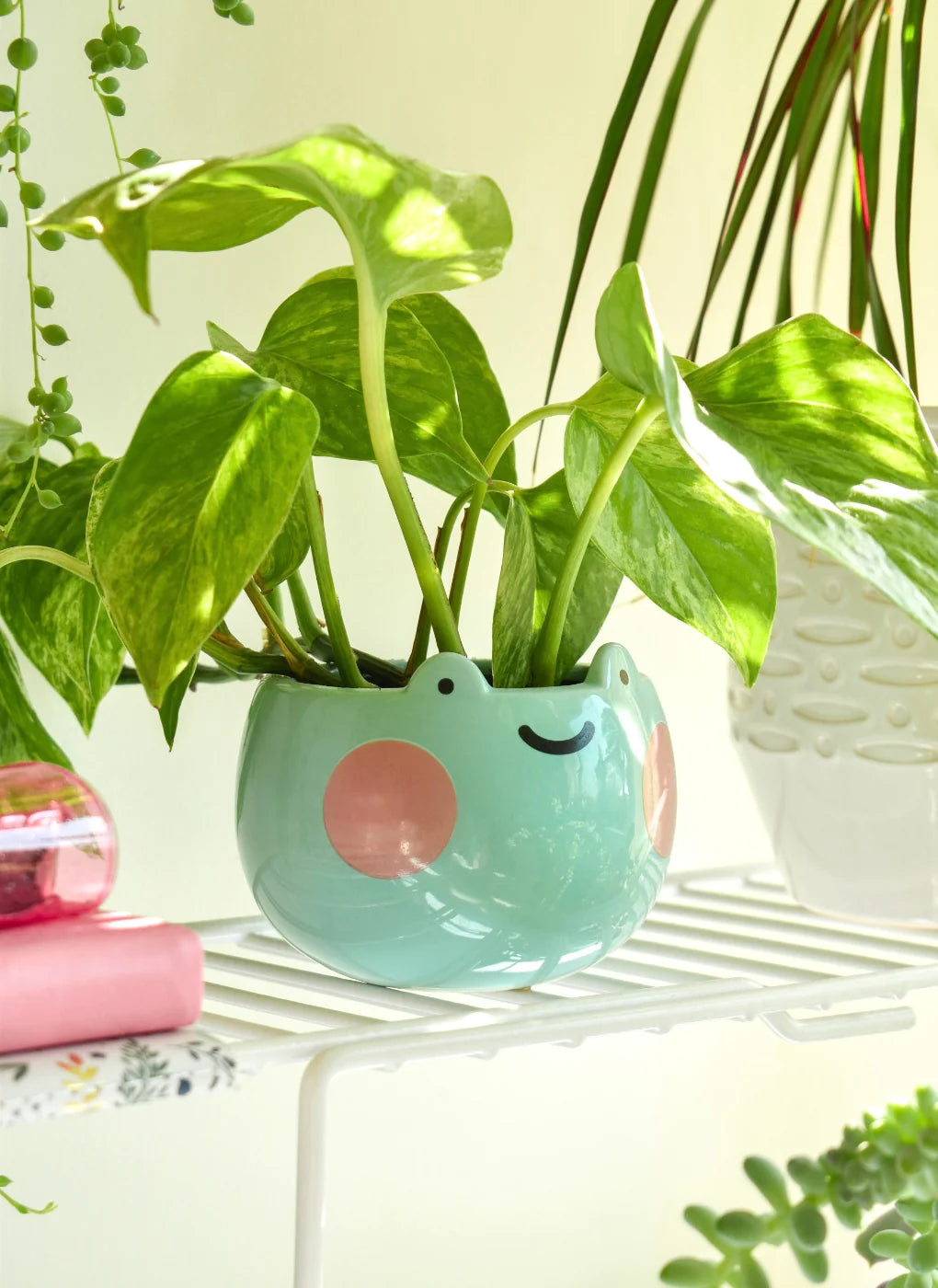 ShopZoki • Ebbo Frog Ceramic Planter